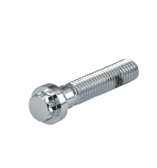 12 Point Bolt